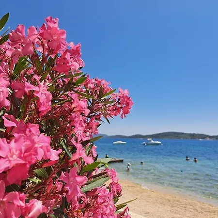 Azul Appartement Vodice