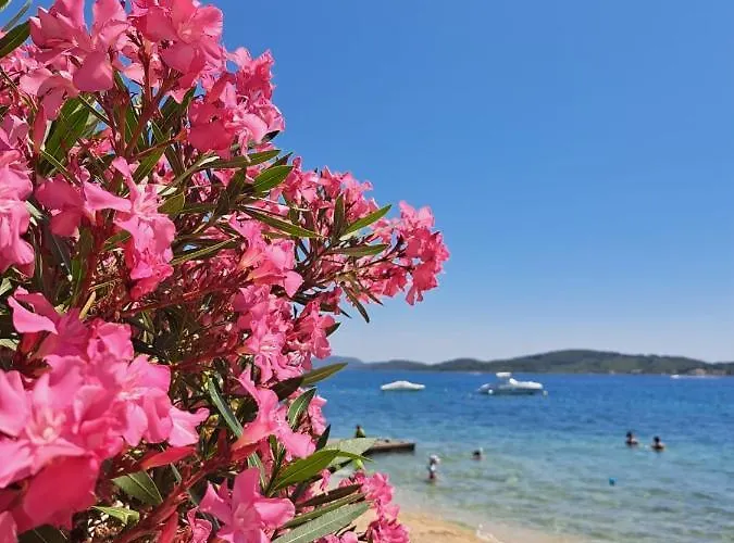 Azul Apartment Vodice